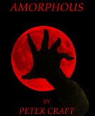 Amorphous (eBook, ePUB)