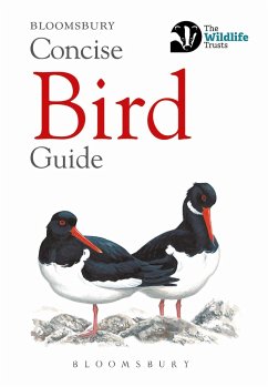 Concise Bird Guide - Bloomsbury