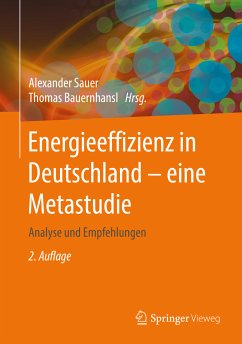 Energieeffizienz in Deutschland - eine Metastudie (eBook, PDF)