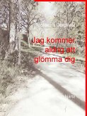 Jag kommer aldrig att glömma dig (eBook, ePUB)