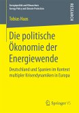 Die politische Ökonomie der Energiewende (eBook, PDF)