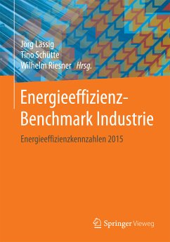 Energieeffizienz-Benchmark Industrie (eBook, PDF)