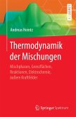Thermodynamik der Mischungen (eBook, PDF)