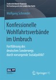 Konfessionelle Wohlfahrtsverbände im Umbruch (eBook, PDF)