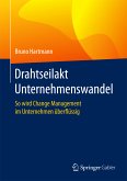 Drahtseilakt Unternehmenswandel (eBook, PDF)