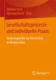 Gesellschaftsprozesse und individuelle Praxis (eBook, PDF)