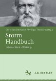 Storm-Handbuch (eBook, PDF)