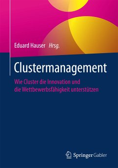 Clustermanagement (eBook, PDF)