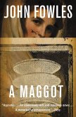 A Maggot (eBook, ePUB)