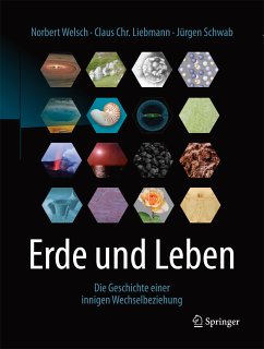 Erde und Leben (eBook, PDF) - Welsch, Norbert; Liebmann, Claus Chr.; Schwab, Jürgen