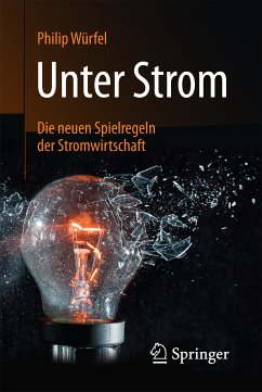 Unter Strom (eBook, PDF) - Würfel, Philip