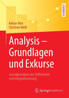 Analysis - Grundlagen und Exkurse (eBook, PDF) - Hirn, Adrian; Weiß, Christian