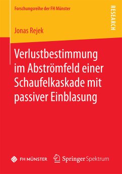 Verlustbestimmung im Abströmfeld einer Schaufelkaskade mit passiver Einblasung (eBook, PDF) - Rejek, Jonas