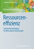 Ressourceneffizienz (eBook, PDF)