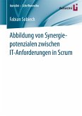 Abbildung von Synergiepotenzialen zwischen IT-Anforderungen in Scrum (eBook, PDF)