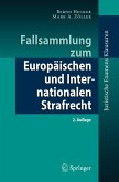 Fallsammlung zum Europäischen und Internationalen Strafrecht (eBook, PDF)