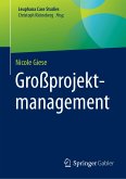 Großprojektmanagement (eBook, PDF)
