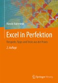 Excel in Perfektion (eBook, PDF)