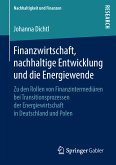 Finanzwirtschaft, nachhaltige Entwicklung und die Energiewende (eBook, PDF)