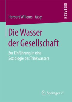 Die Wasser der Gesellschaft (eBook, PDF)