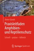 Praxisleitfaden Amphibien- und Reptilienschutz (eBook, PDF)