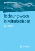 Rechnungswesen in Kulturbetrieben (eBook, PDF)