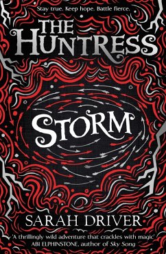 Storm (eBook, ePUB) - Driver, Sarah