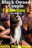 Black Owned Couple Collection 2, Books 4-6 (eBook, ePUB)