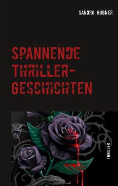 Spannende Thriller-Geschichten - Hübner, Sandro