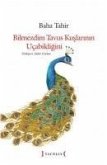 Bilmezdim Tavus Kuslarinin Ucabildigini