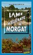Lame scélérate à Morgat (eBook, ePUB) - Bild 1
