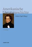 Amerikanische Literaturgeschichte (eBook, PDF)