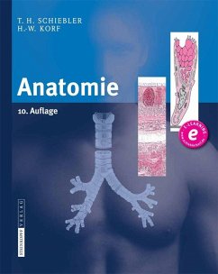 Anatomie (eBook, PDF) - Schiebler, Theodor H.; Korf, Horst-W.