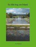 En lille bog om Irland (eBook, ePUB)
