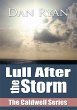 Lull After the Storm (eBook, ePUB) - Bild 1