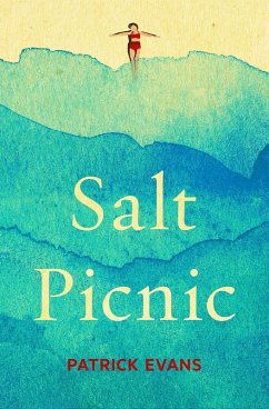 Salt Picnic (eBook, ePUB) - Evans, Patrick