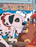 The Lifelong Adventures of Mr. Tedd O. Bear (eBook, ePUB)