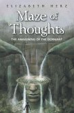 Maze of Thoughts (eBook, ePUB)