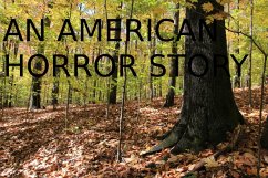 Cover An American Horror Story (eBook, ePUB)