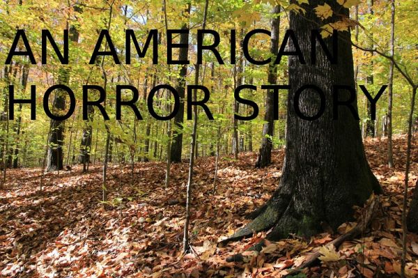 An American Horror Story (eBook, ePUB)