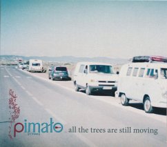 All The Trees Are Still Moving - Pimalo