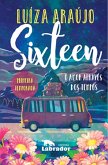 Sixteen (eBook, ePUB)