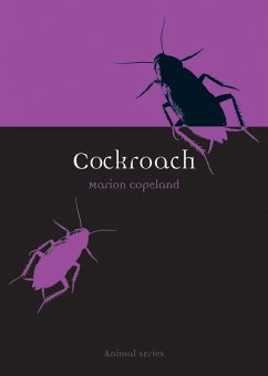 Cover Cockroach (eBook, ePUB)