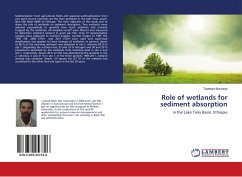 Role of wetlands for sediment absorption