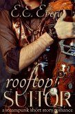 Rooftop Suitor (eBook, ePUB)