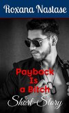 Payback Is a Bitch (Josh Aldridge - PI, #0) (eBook, ePUB)
