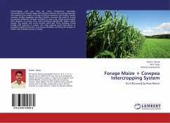 Forage Maize + Cowpea Intercropping System