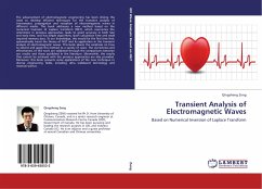 Transient Analysis of Electromagnetic Waves