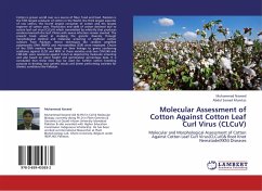 Molecular Assessment of Cotton Against Cotton Leaf Curl Virus (CLCuV)