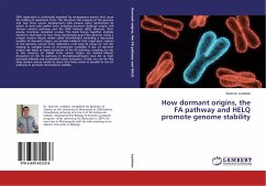 How dormant origins, the FA pathway and HELQ promote genome stability